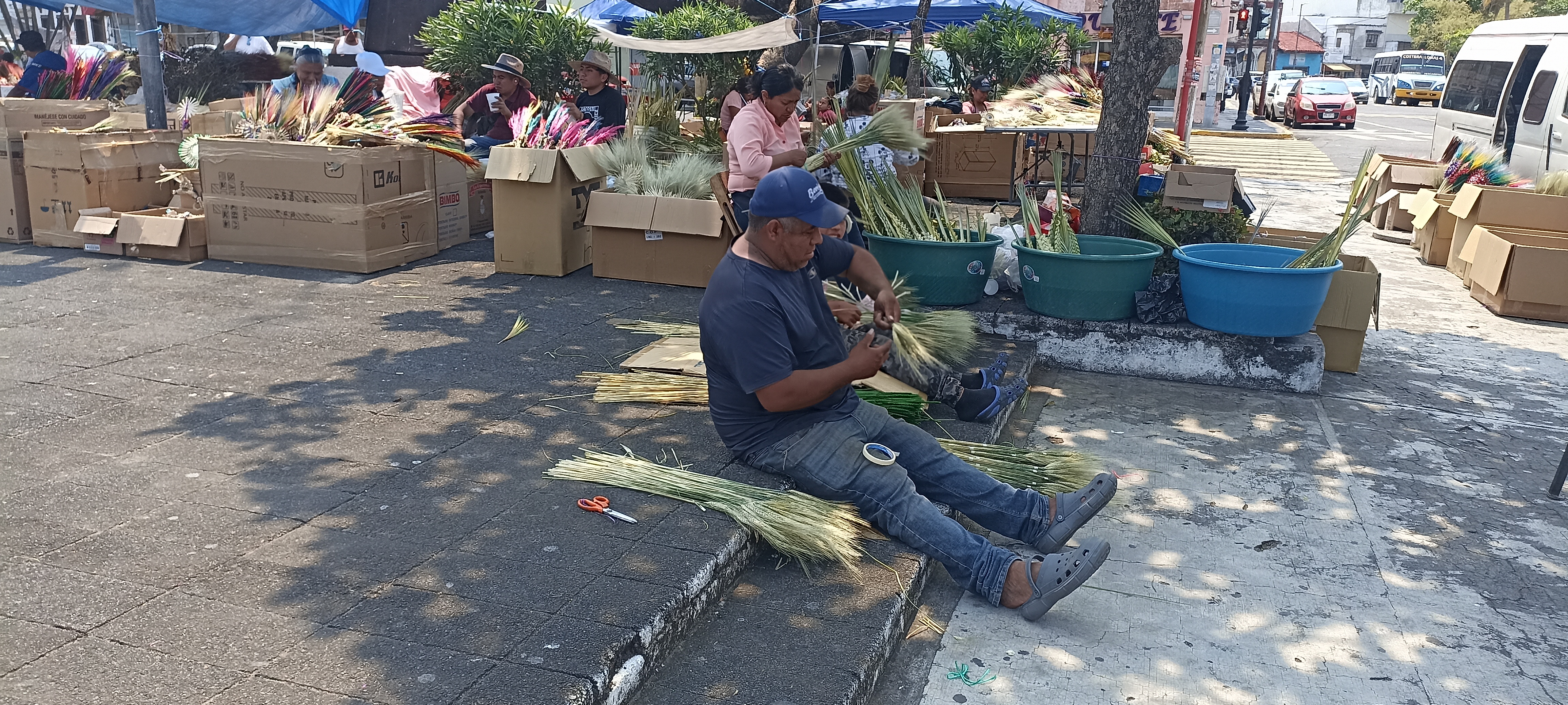 Inicia la venta de palmas para el Domingo de Ramos en la ciudad de Veracruz