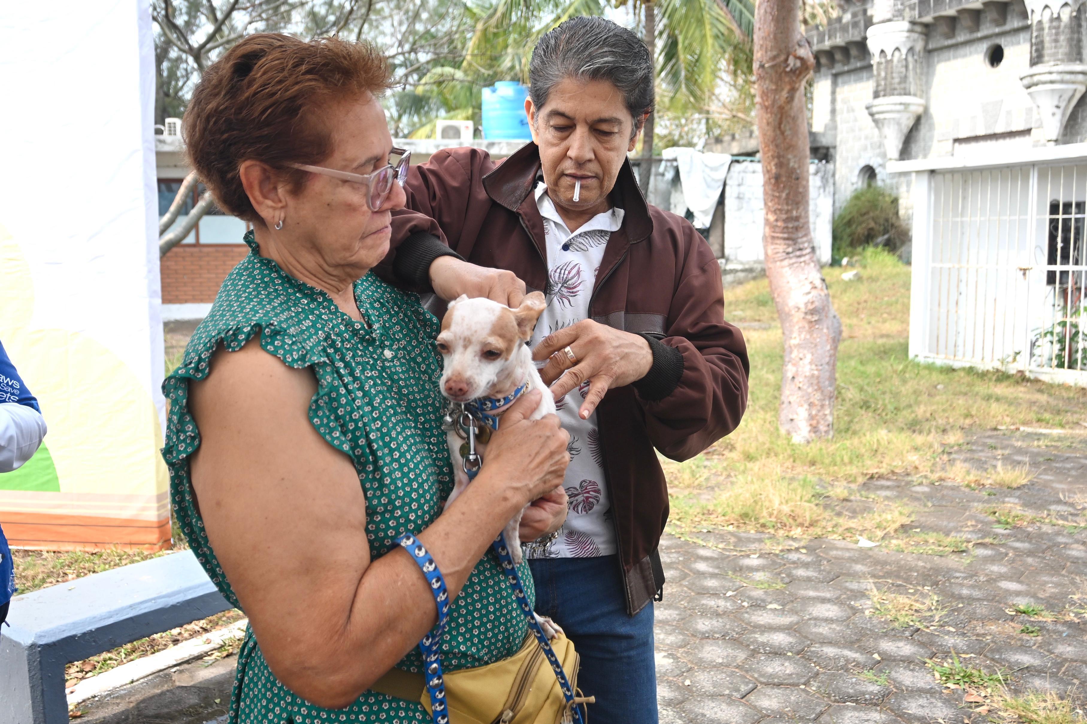 Aplicarán 400 dosis gratuitas de vacuna antirrábica en la ciudad de Veracruz