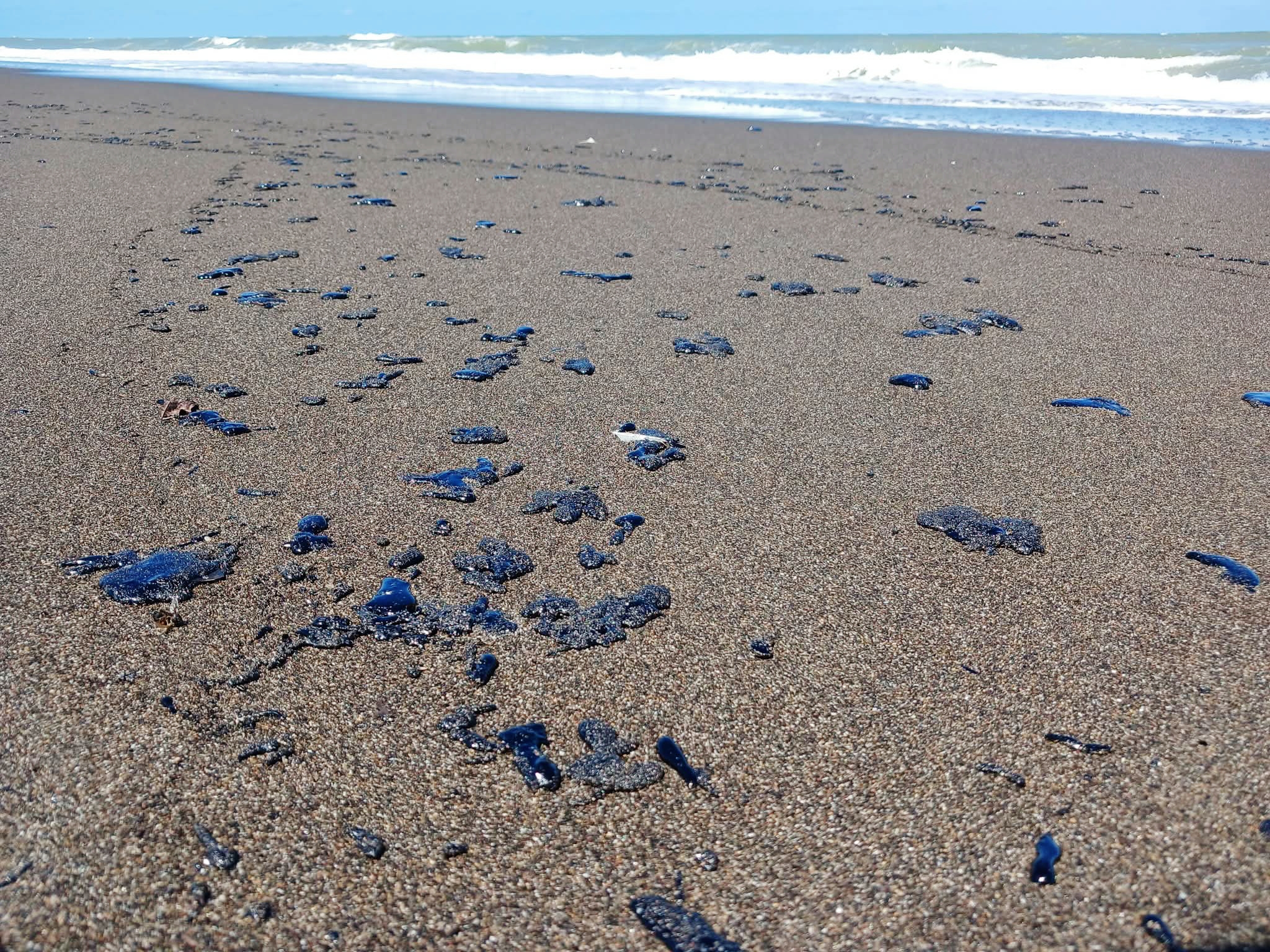 Pemex originó derrame en el Golfo; ocultaron fuga y cesan a tres funcionarios