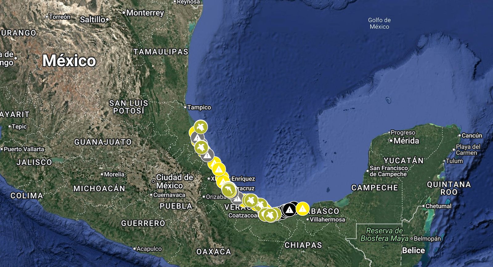 Lanzan mapeo ciudadano por derrame en costas de Veracruz y Tabasco