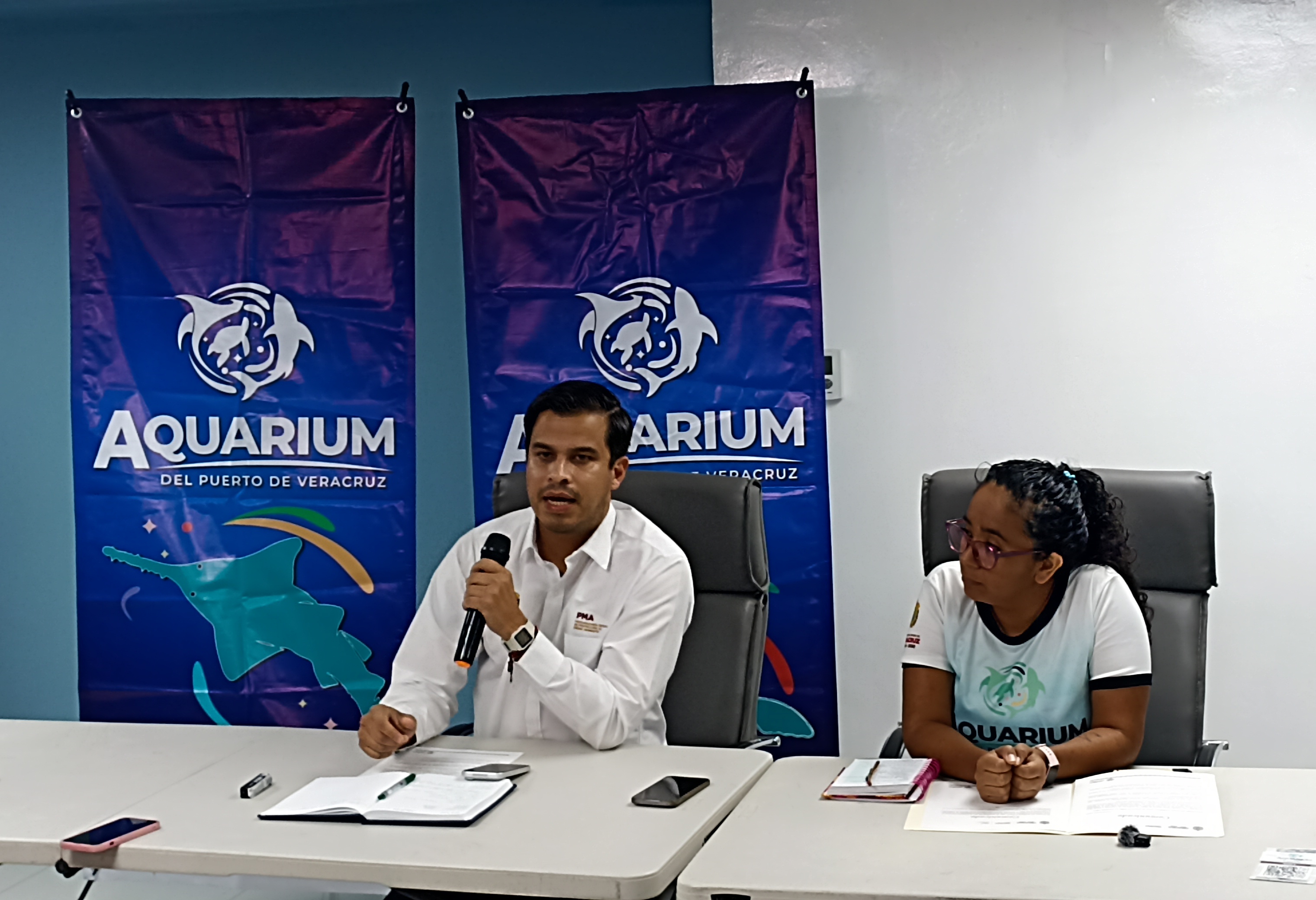 Tras caso de delfín en Alvarado, piden reportar animales marinos varados