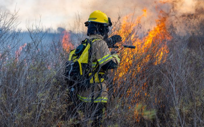 51 incendios afectan ANP y 950 hectáreas en Veracruz