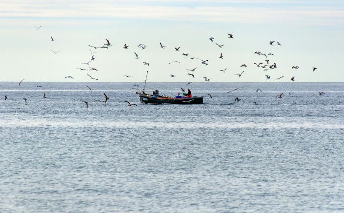 Pescadores de Alvarado paran actividad por hidrocarburo
