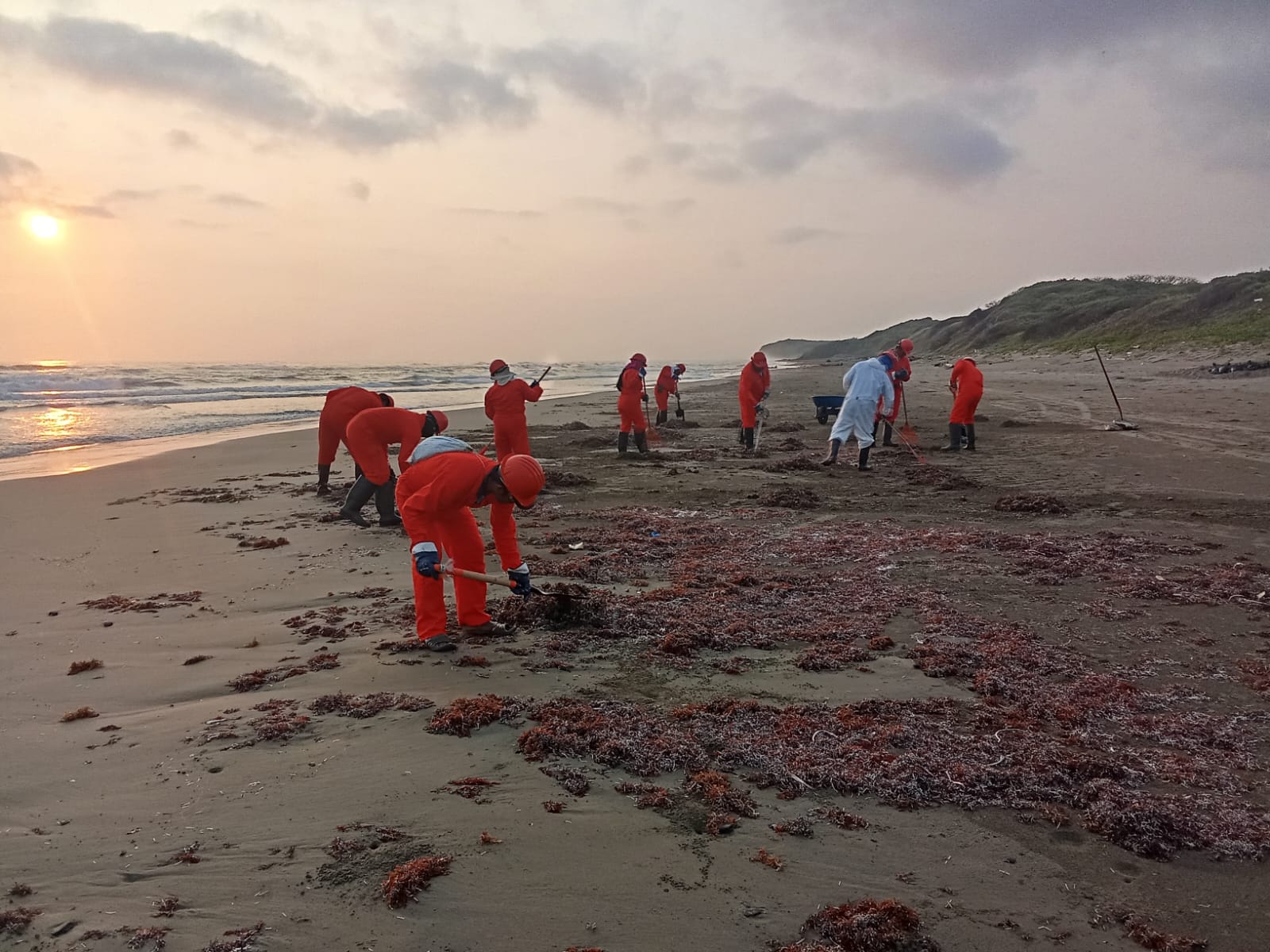 Vigilancia por hidrocarburo en ANP del Golfo; 6 ya sin recales