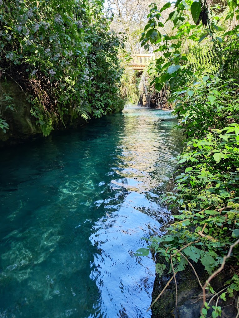 Suspenden actividades en reserva Pancho Poza en Altotonga