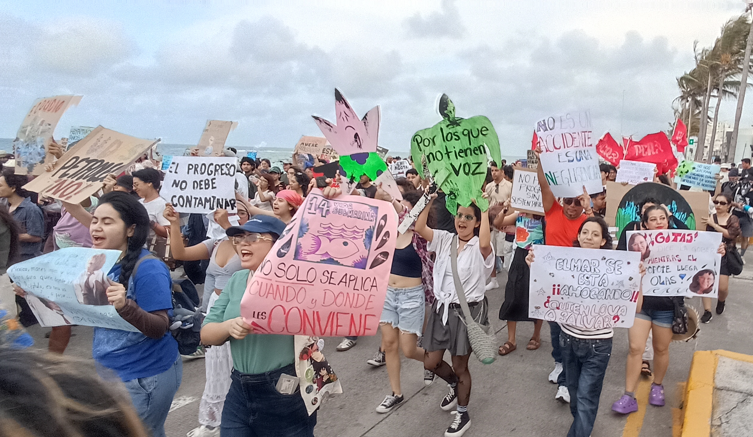 UV participará en observatorio ambiental por derrame en Golfo de México
