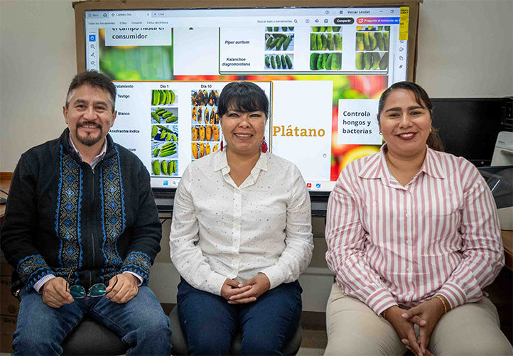 UV obtiene patente por biocompuestos que alargan vida de alimentos