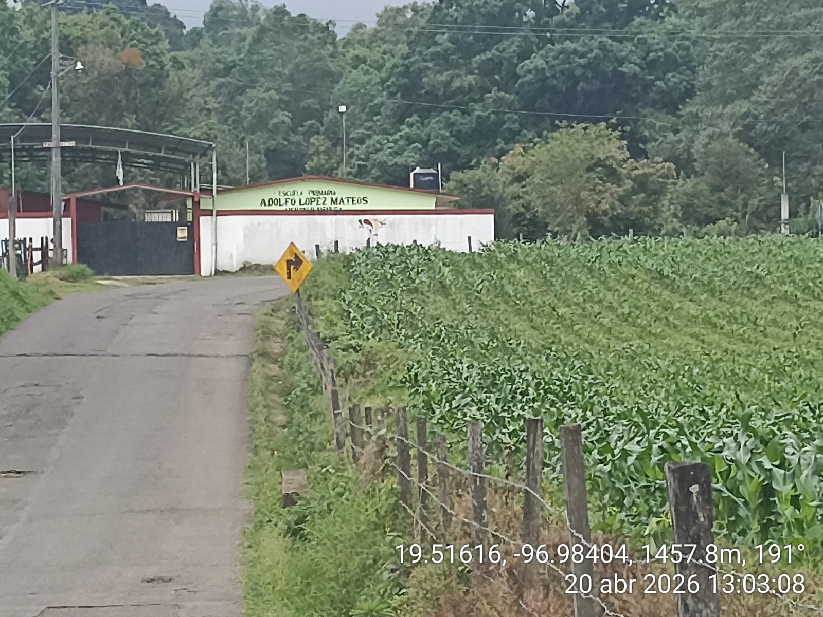 Comunidades piden declarar emergencia por plaguicidas en Coatepec