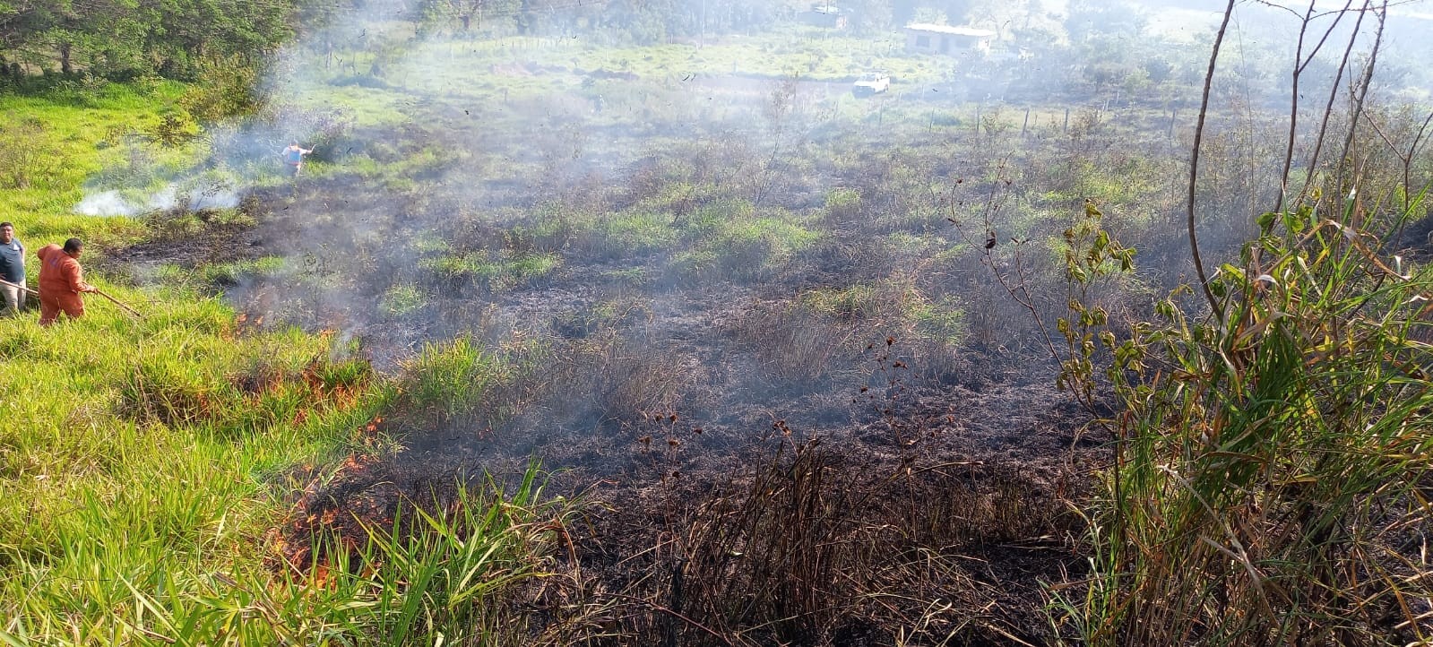 Incendio de pastizal en Cacahuateno fue controlado