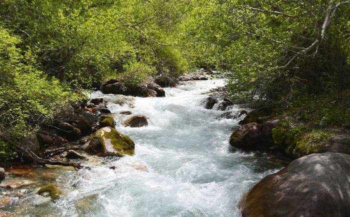 Obligarán a industrias a sanear descargas en río Atoyac