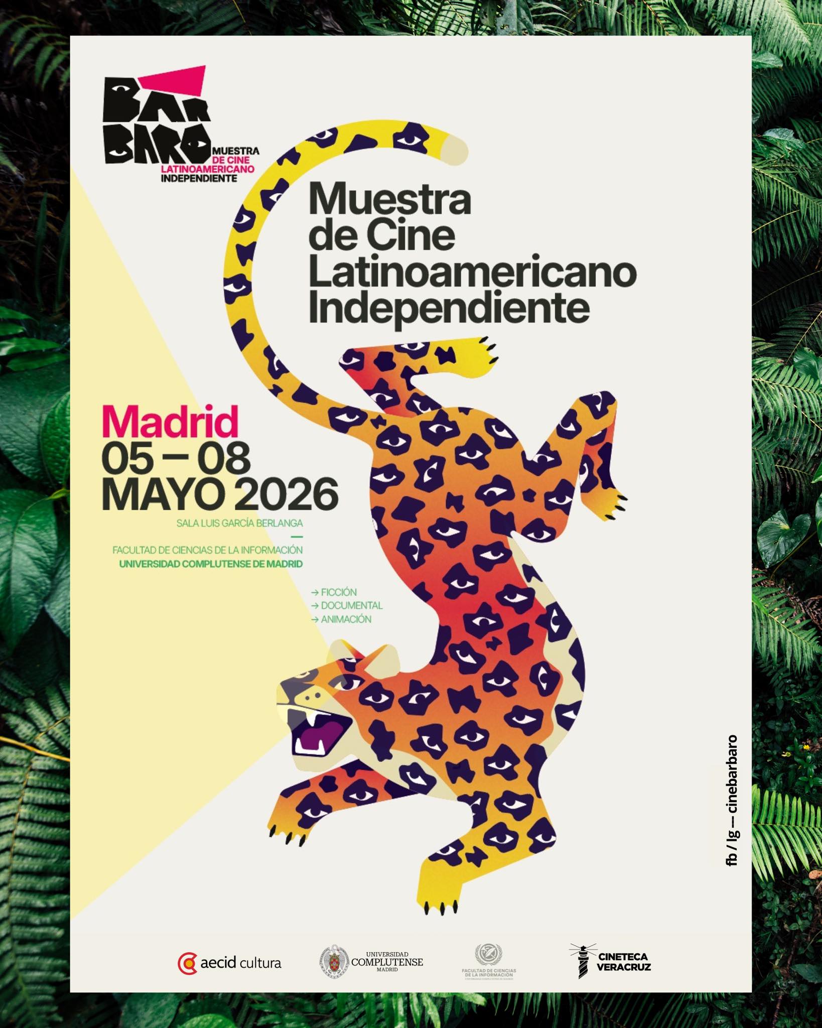 Cineteca Veracruz llevará cine veracruzano a muestra en Madrid