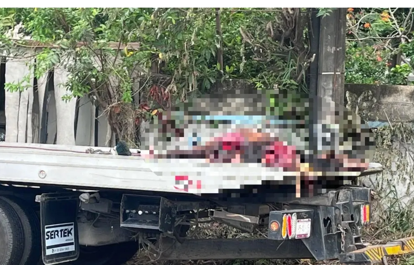 Atropellan y matan a caballo en la carretera Veracruz-Xalapa