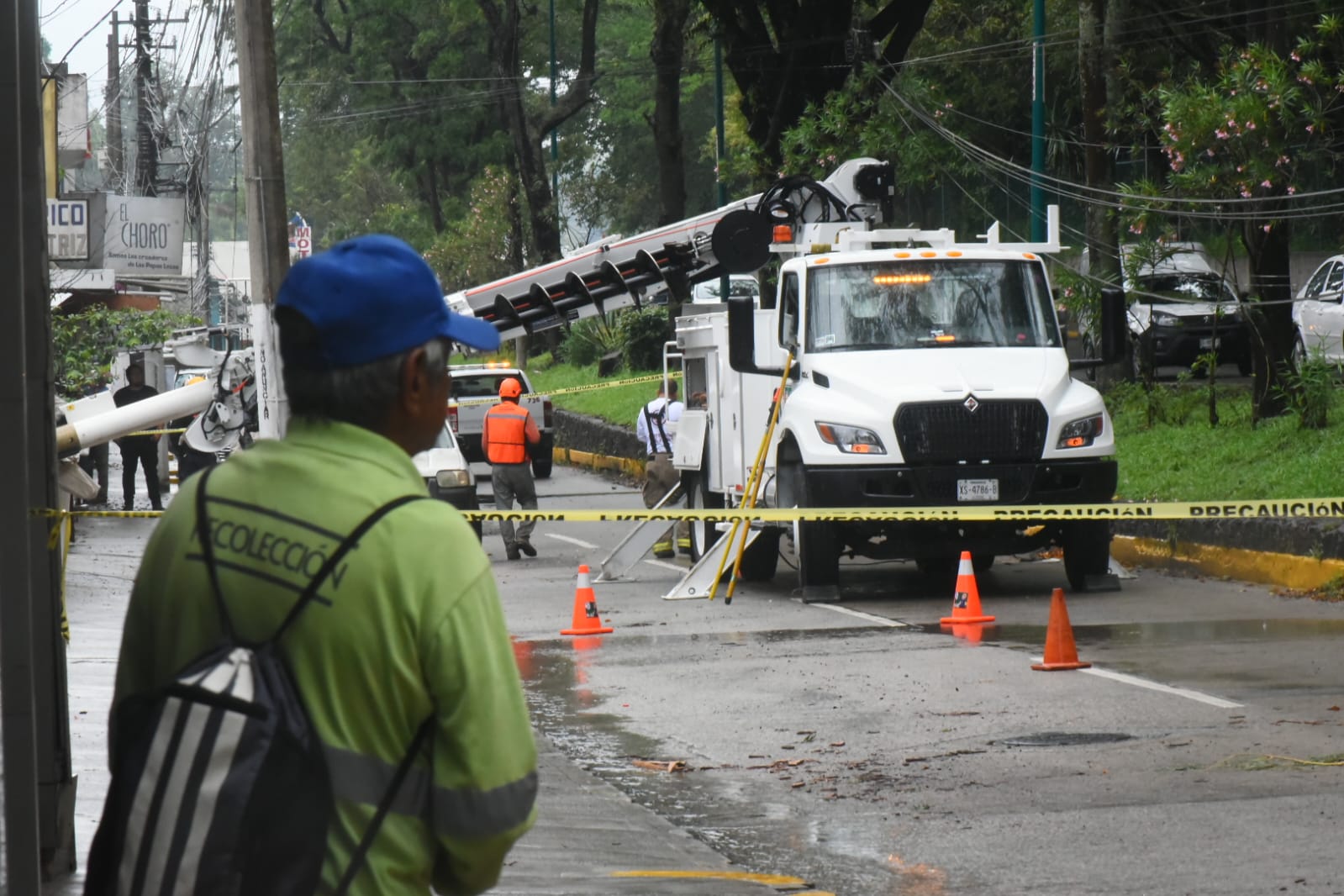 Lluvias derriban árboles en Xalapa; activan brigadas municipales