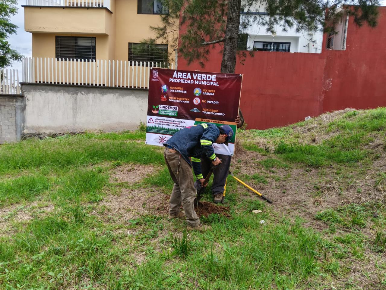 Rescatan área verde en Los Pinos y crearán parque urbano