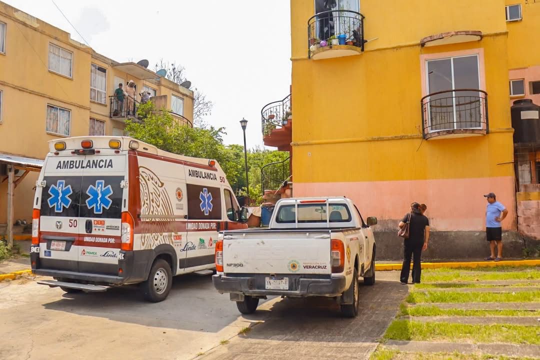 Abejas africanas causan la muerte de una mascota en Coatzintla