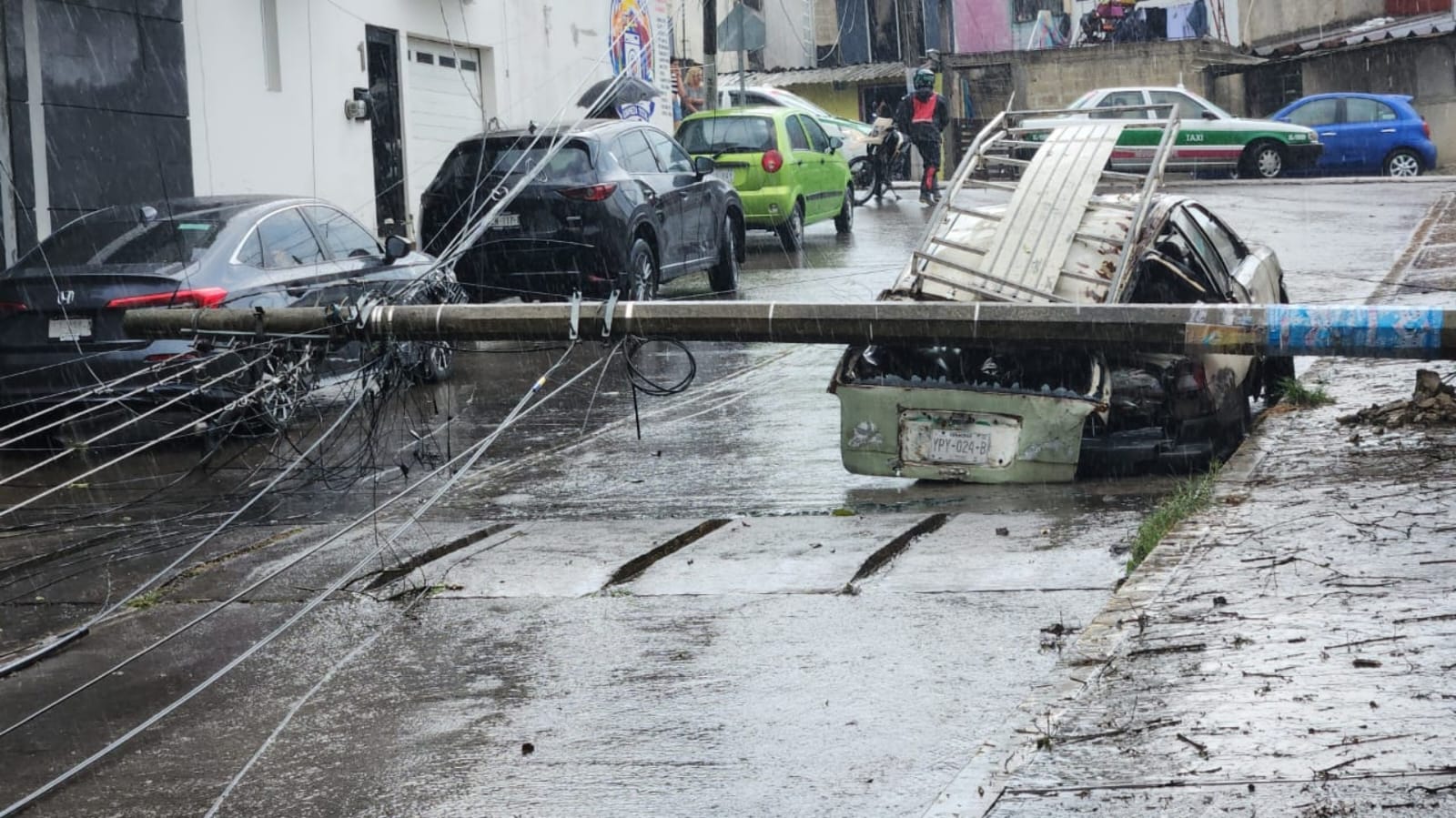 Tormenta eléctrica en Xalapa deja árboles caídos y cortes de luz