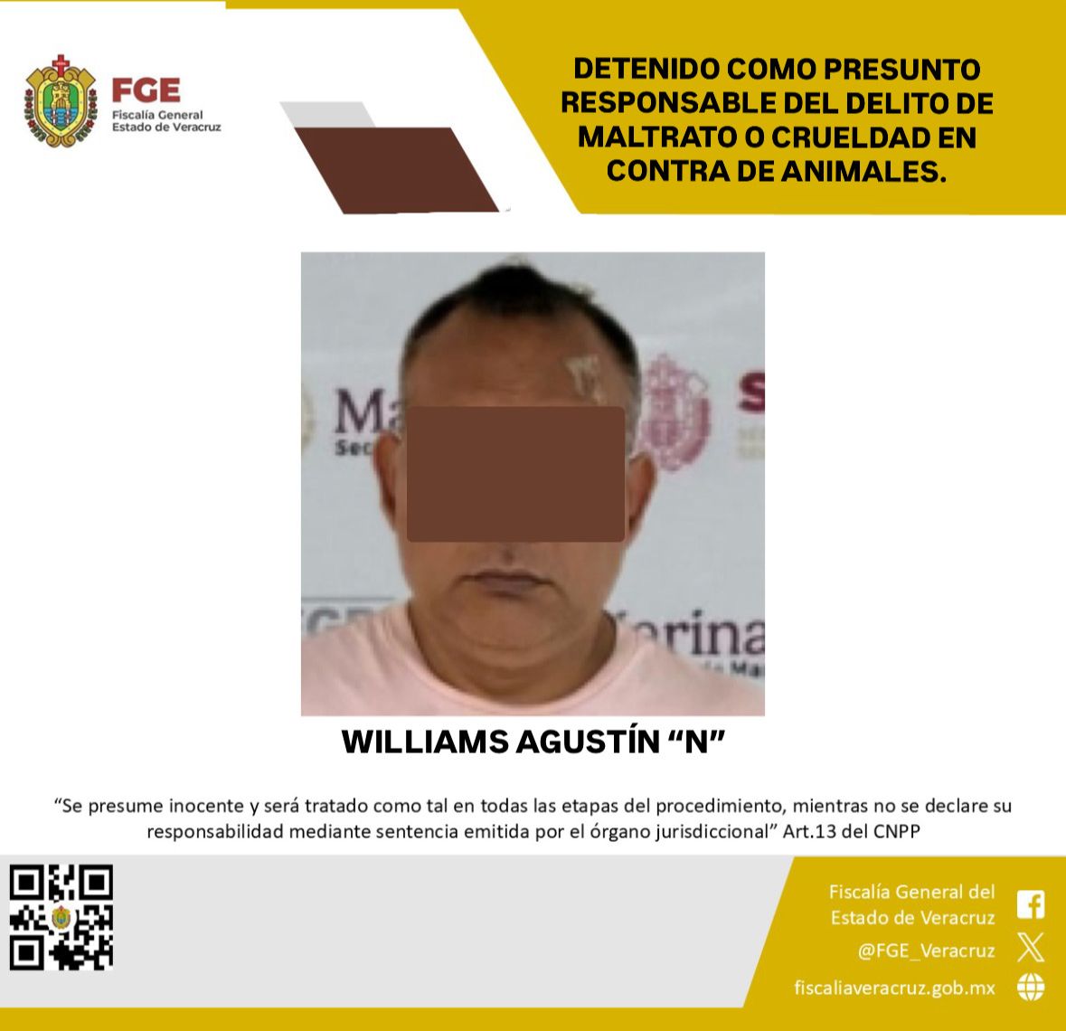 Detienen a hombre por presunto maltrato animal en Veracruz