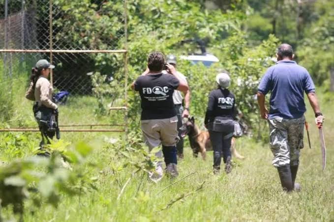 Colectivo reanuda búsquedas en Cuitláhuac y zona de Orizaba
