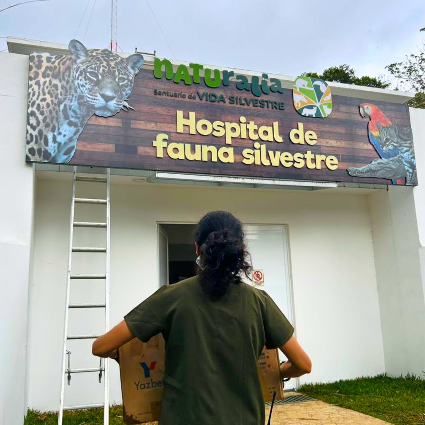 Sedema niega mortalidad en Naturalia, pero reportó 31 muertes vía transparencia