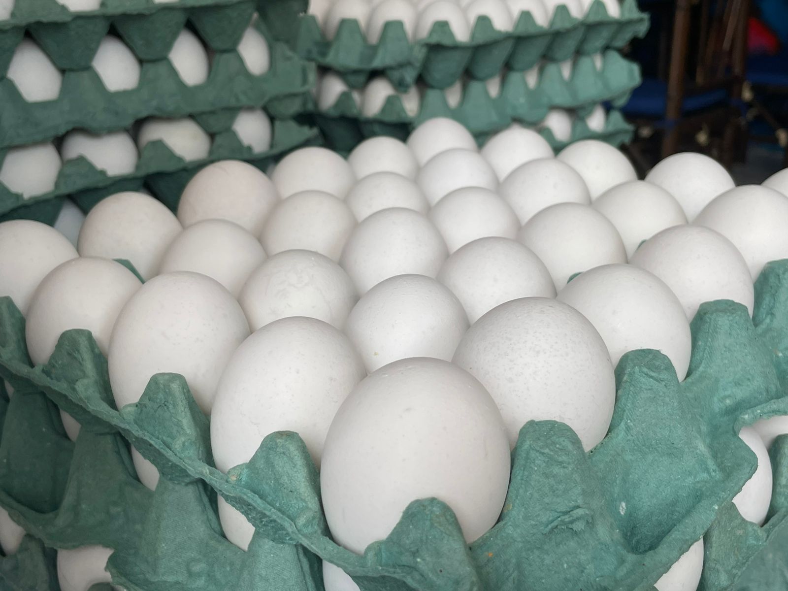 Huevo económico en Veracruz: Sedecop descarta origen chino