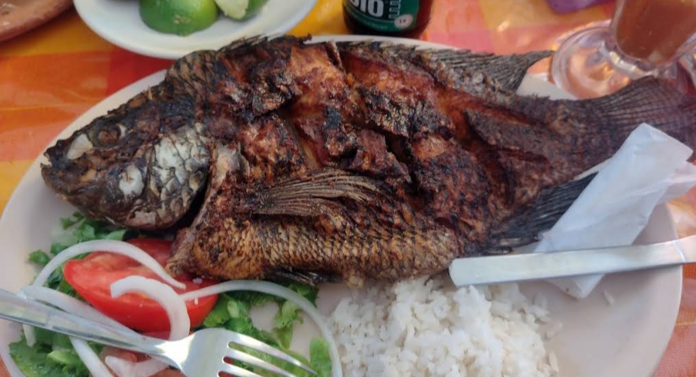 Se recupera el consumo de los productos del mar tras el derrame de chapopote en el Golfo de México