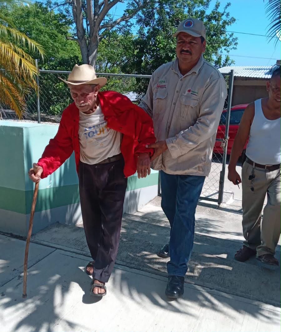 Ataque de abejas deja un lesionado y la muerte de un ave en Cazones de Herrera