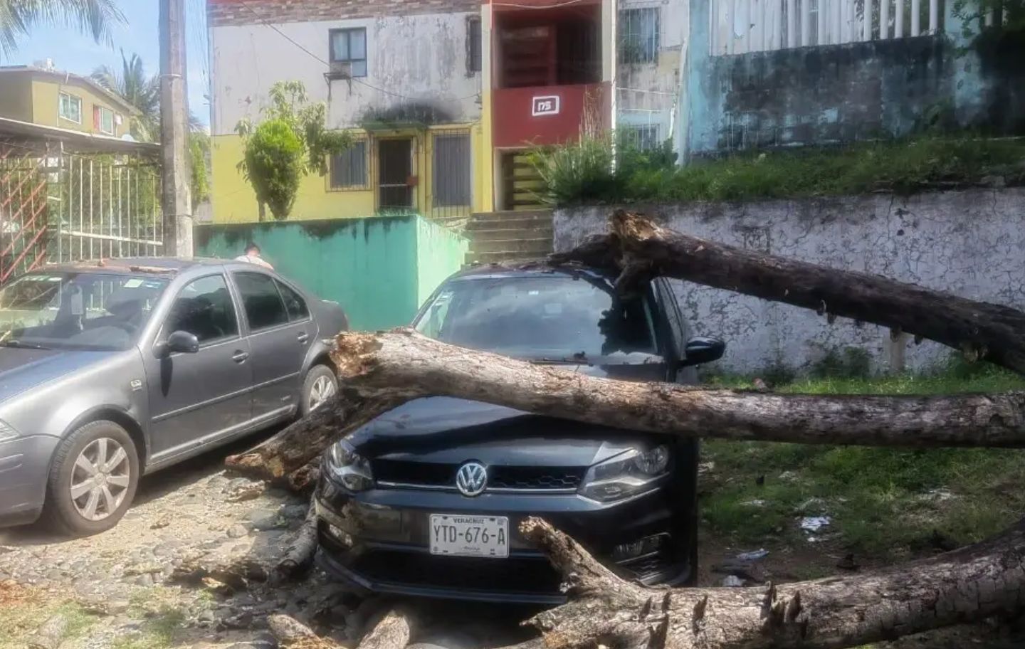 Árbol cae sobre autos en Veracruz; vecinos esperan apoyo municipal