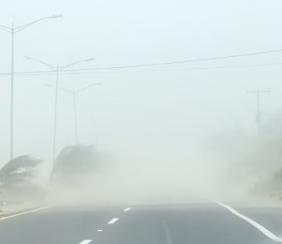 Advierte investigador sobre el avance de las dunas en el corredor de la Riviera Veracruzana