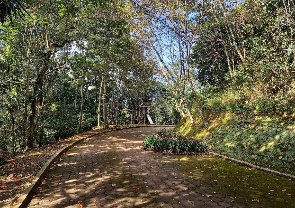 Parques emblemáticos de Xalapa: naturaleza, historia y cultura