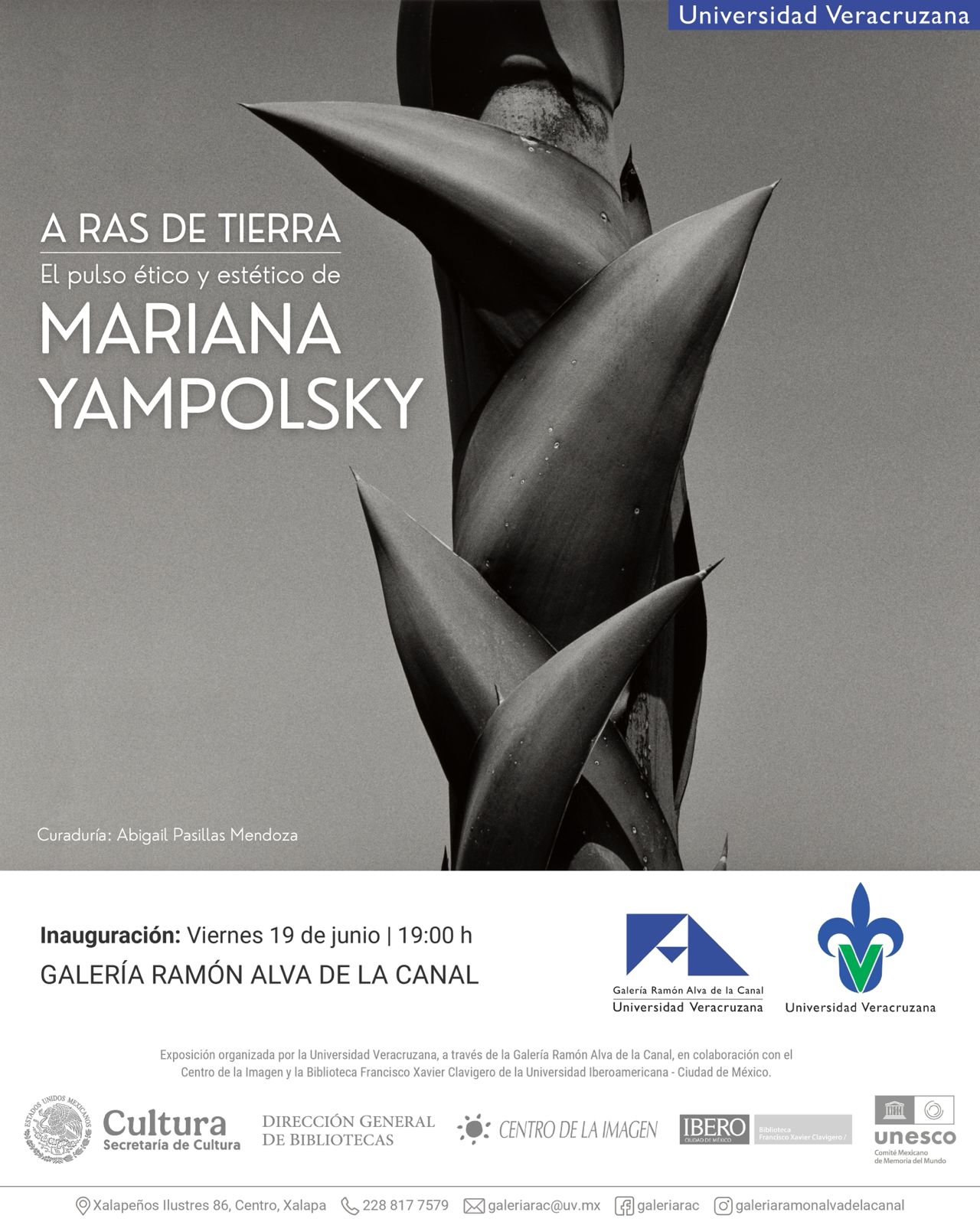 Este viernes inauguran en Xalapa exposición de Mariana Yampolsky