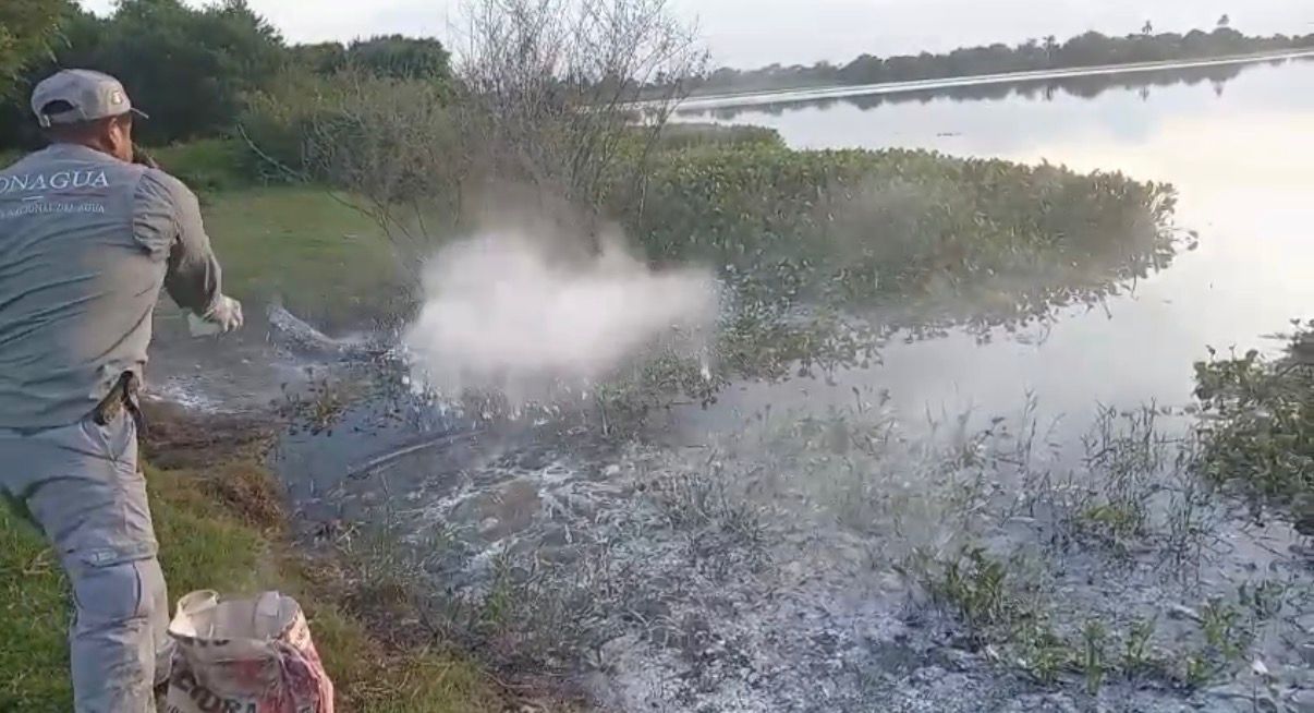 Conagua toma muestras en lagunas por mortandad de peces en Cosamaloapan