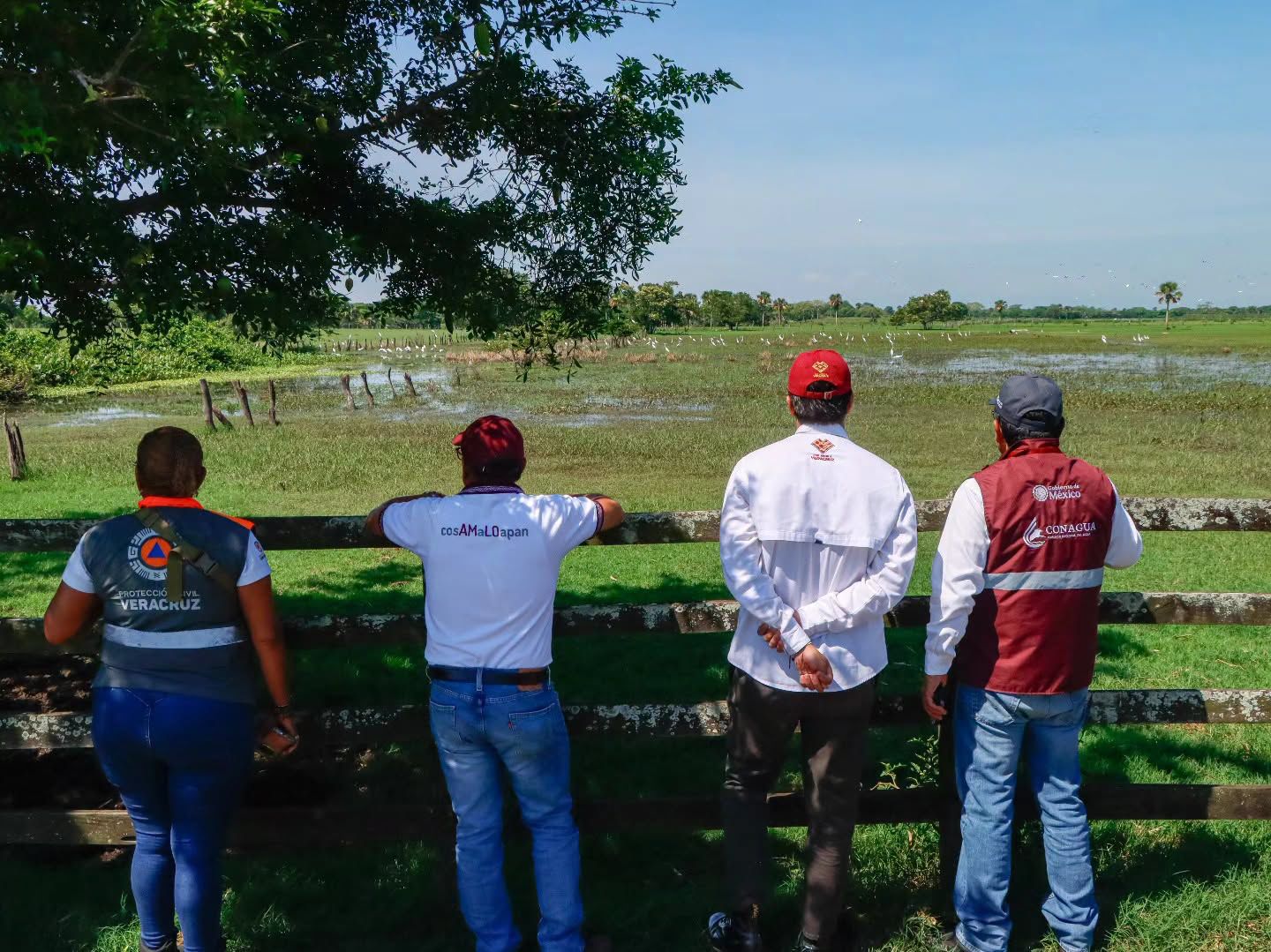 Procuraduría Ambiental investiga mortandad de peces en Cosamaloapan