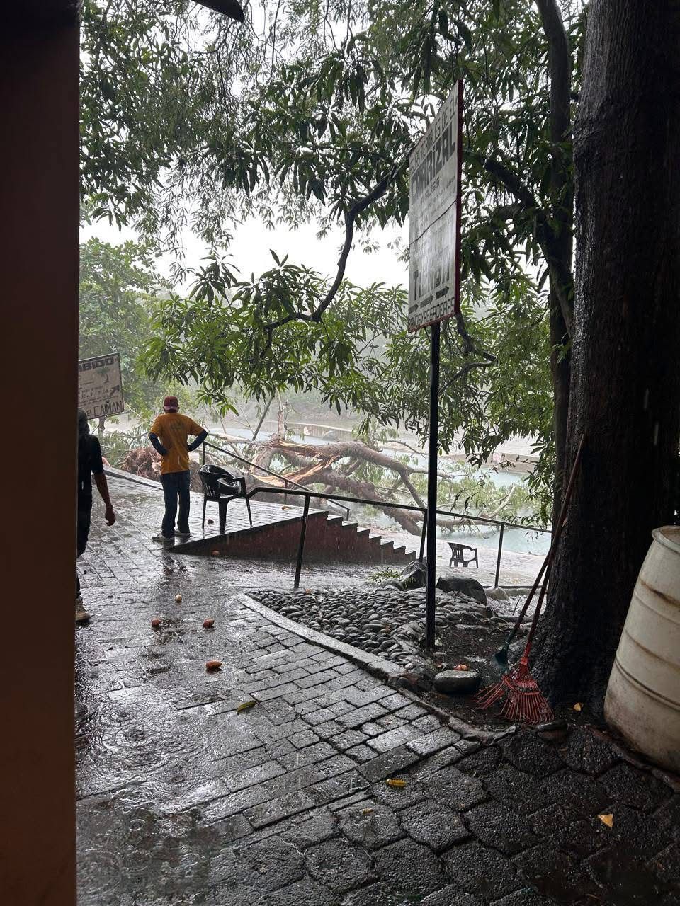 Turista muere al caerle árbol encima en balneario El Carrizal