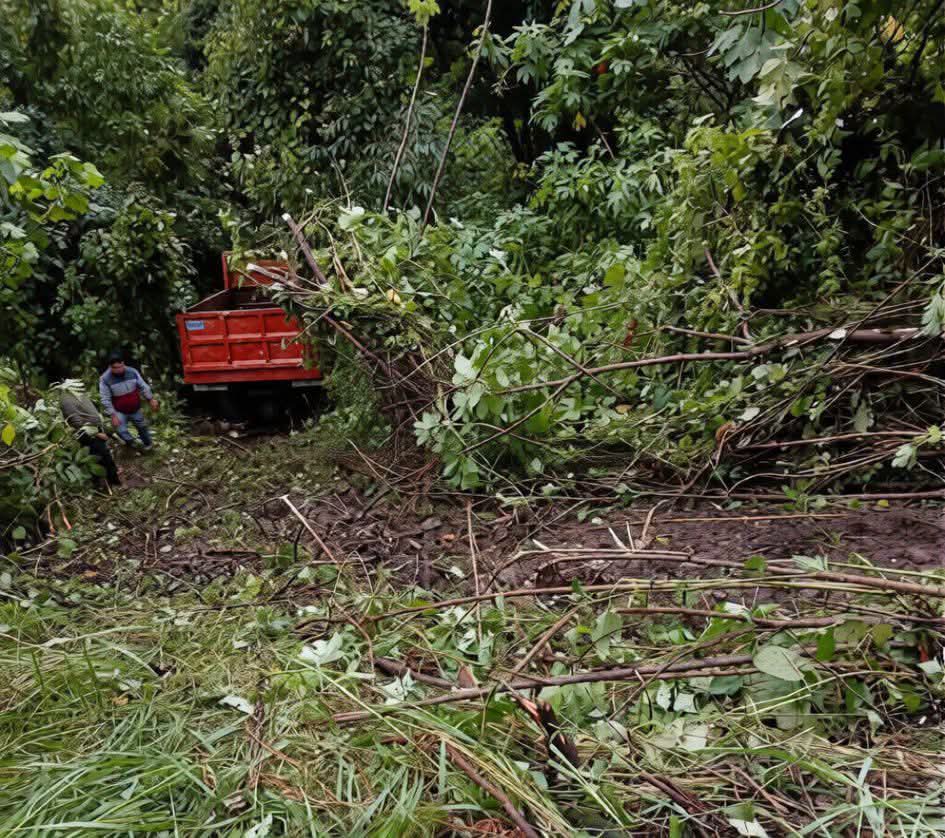 Camión de volteo cae a barranco en carretera Orizaba-Zongolica