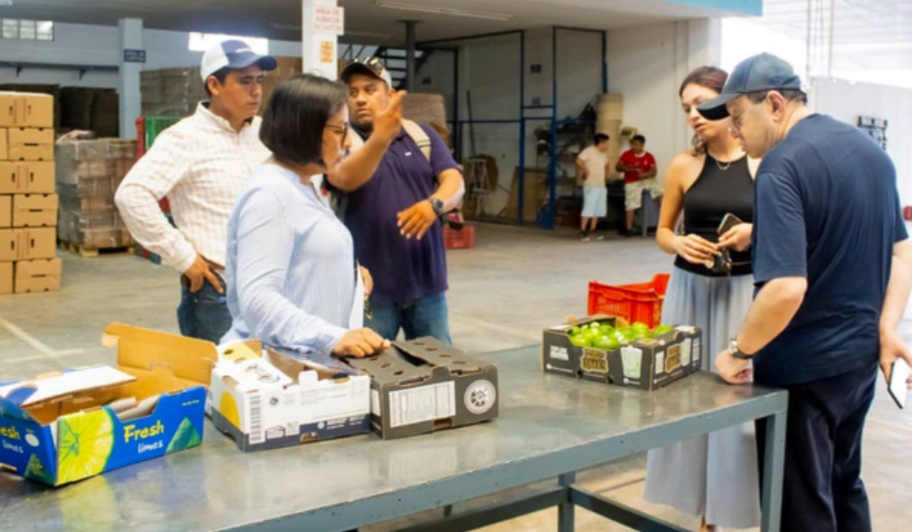 Limón persa de Papantla llega a Moscú con primer envío de 21.4 toneladas