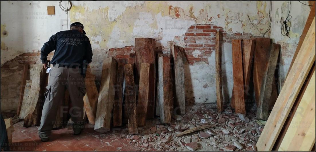 Detienen a persona por comercializar madera protegida durante cateo en Tlacotalpan