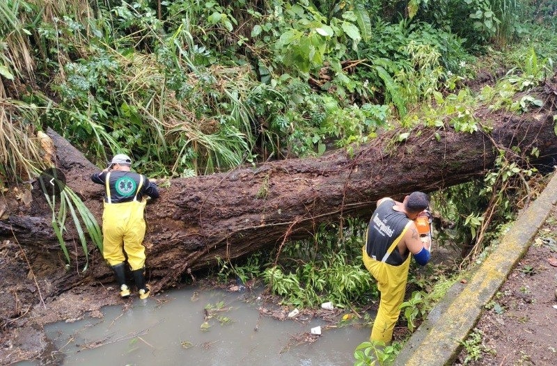 Lluvias afectan 84 viviendas en Paso de Ovejas y Puente Nacional