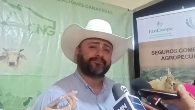 Falta cultura para el aseguramiento del hato ganadero en Veracruz