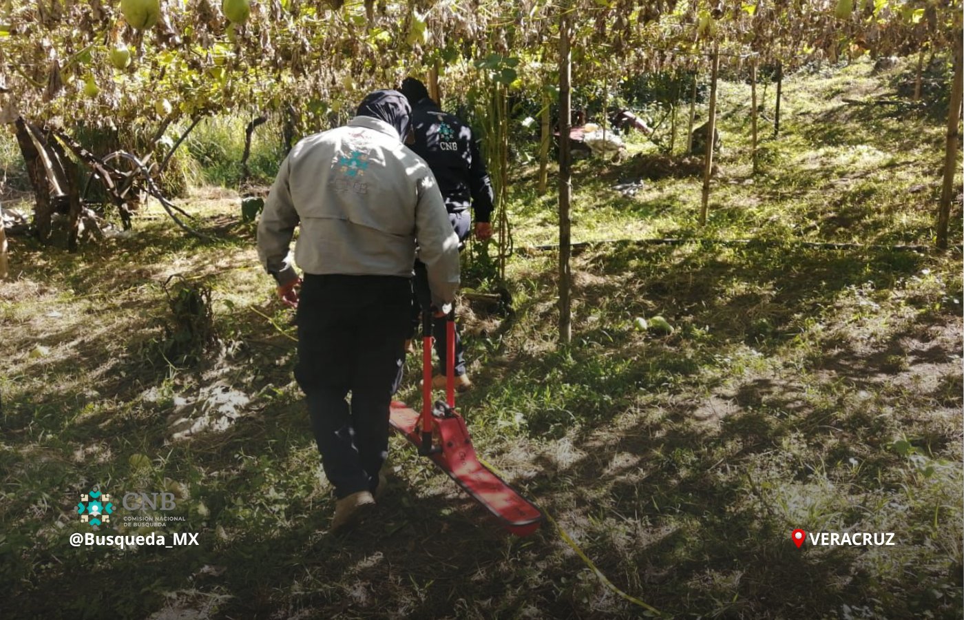 Buscan CNB y familiares de desaparecidos fosas clandestinas en Veracruz