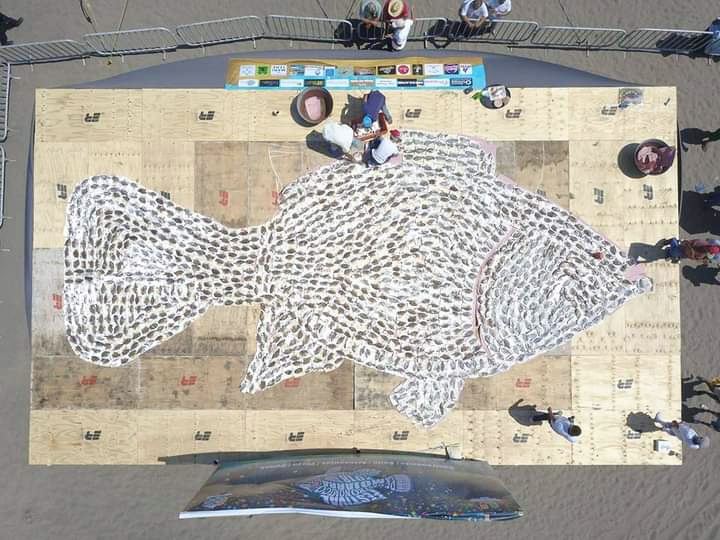 Chachalacas se prepara para la edición 26 del Festival de la Mojarra más grande del Mundo