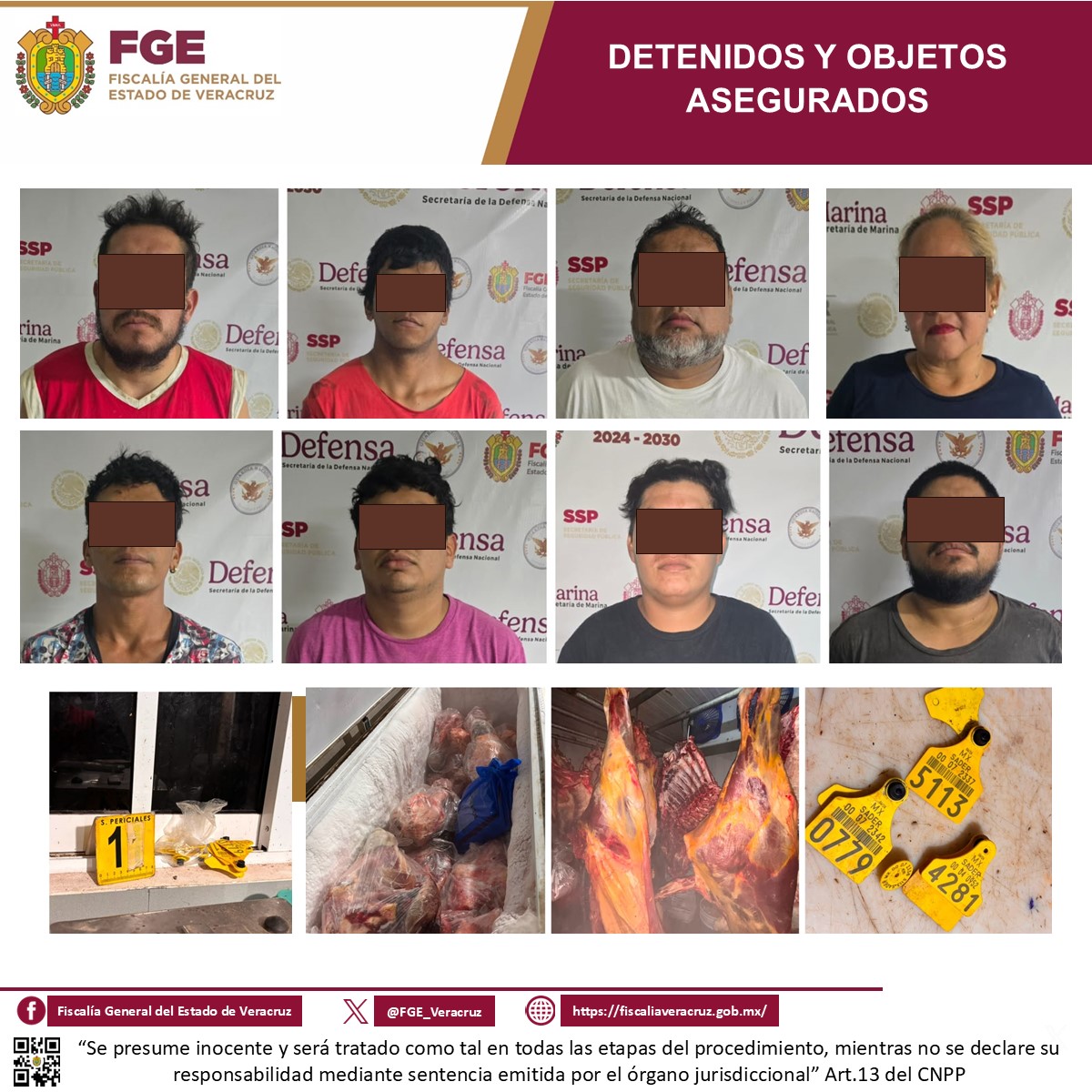 Detienen a ocho durante cateo por ganado robado en Cardel