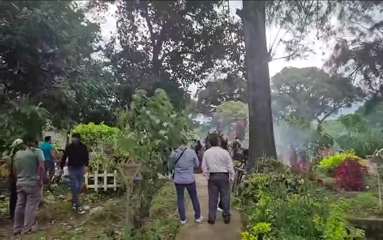 Enjambre de abejas ataca a 30 personas en Rafael Delgado