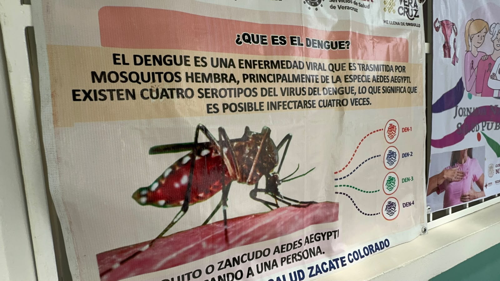 Poza Rica acumula 97 casos de dengue y crece la preocupación ciudadana
