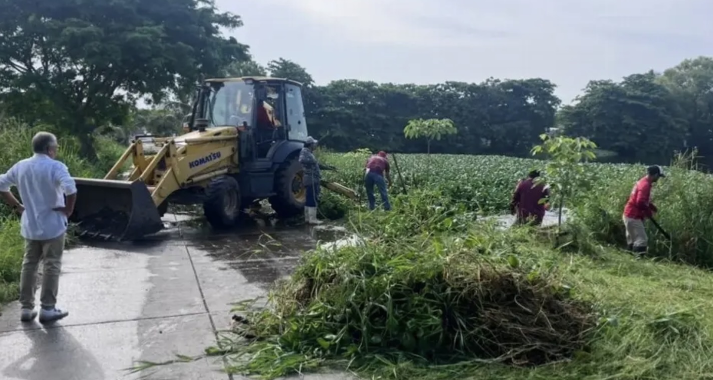 Retiran 10 toneladas de lirio de laguna Sueño Ilusión en Veracruz