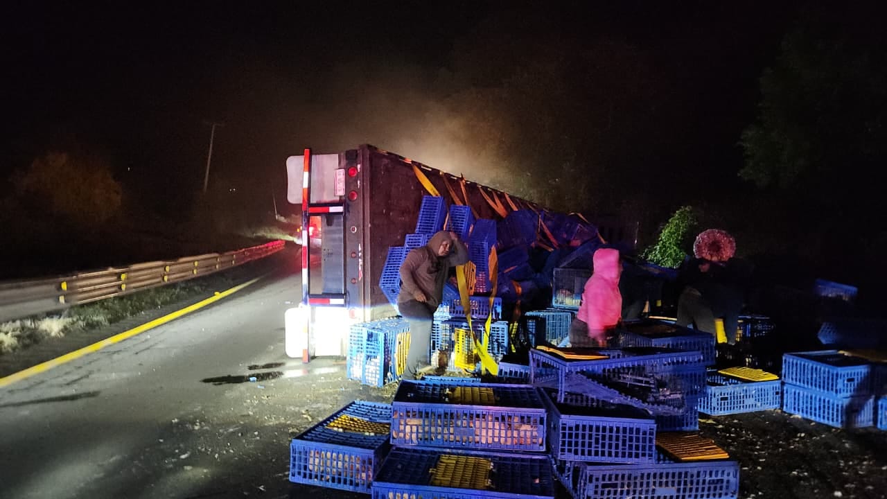 Vuelca tráiler con pollos en la autopista Orizaba-Puebla