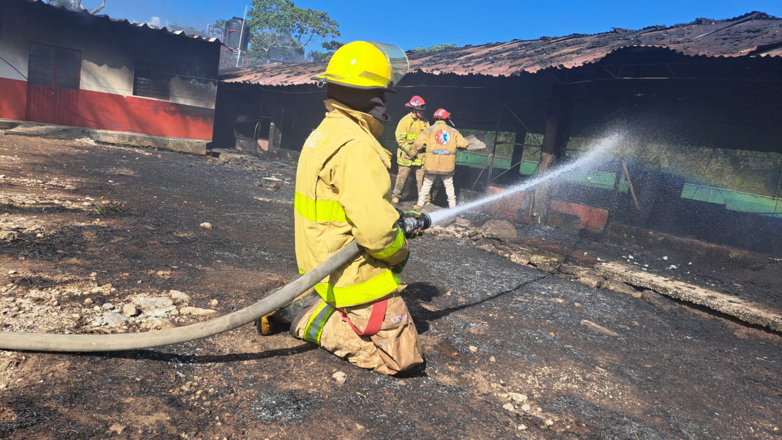 Incendio consume granja avícola en Fortín; mueren más de 30 mil aves
