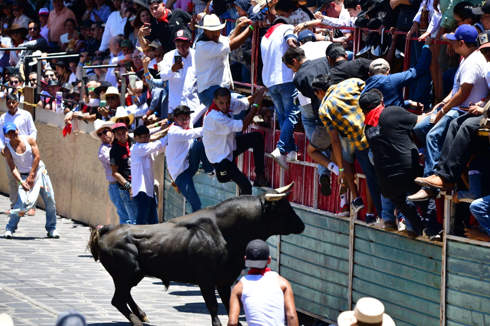 Capea de toros Xico deja 4 lesionados y 60 mil asistentes