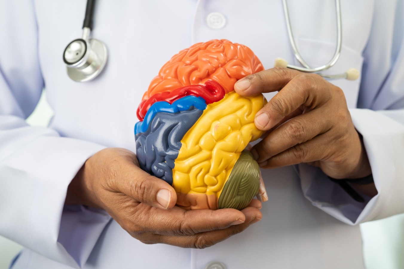 IMSS Veracruz Norte alerta sobre hábitos que dañan el cerebro
