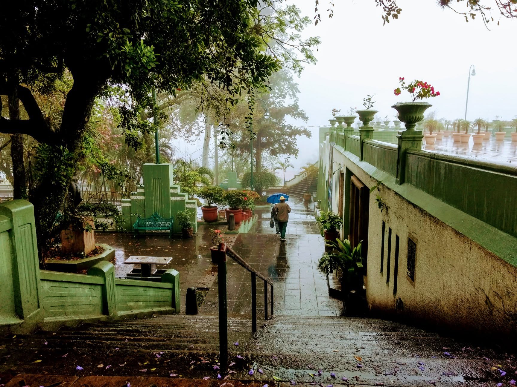 Parque Juárez: el corazón histórico de Xalapa