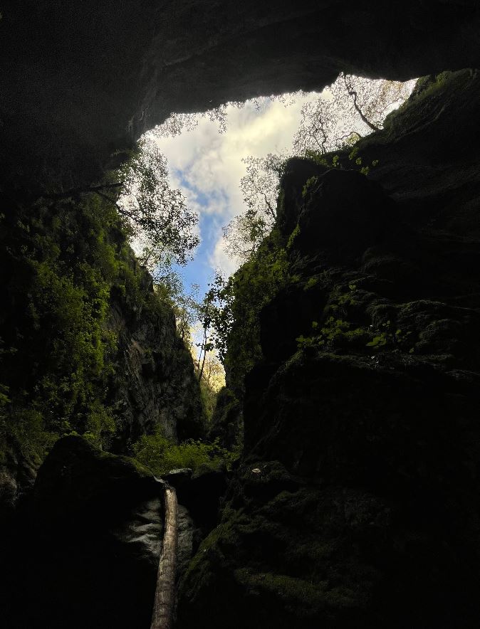 Cañón de La Murcielaguera entre roca y bosque en Perote